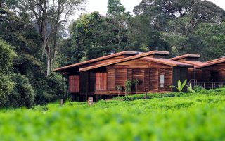 Nyungwe Forest Lodge