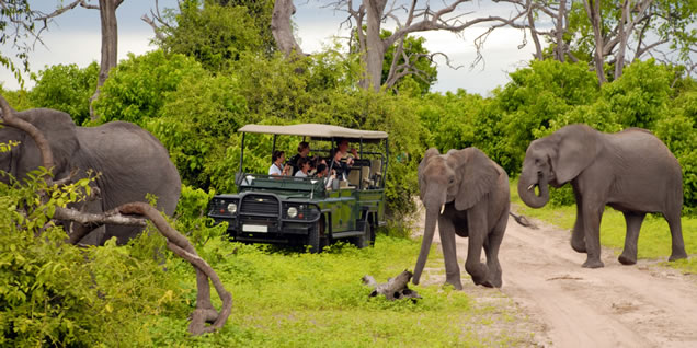 When is the best time to visit Murchison Falls National Park?
