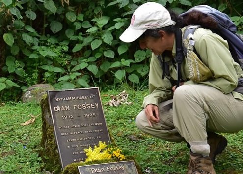 3 Days Mountain Gorillas & Dian Fossey hike