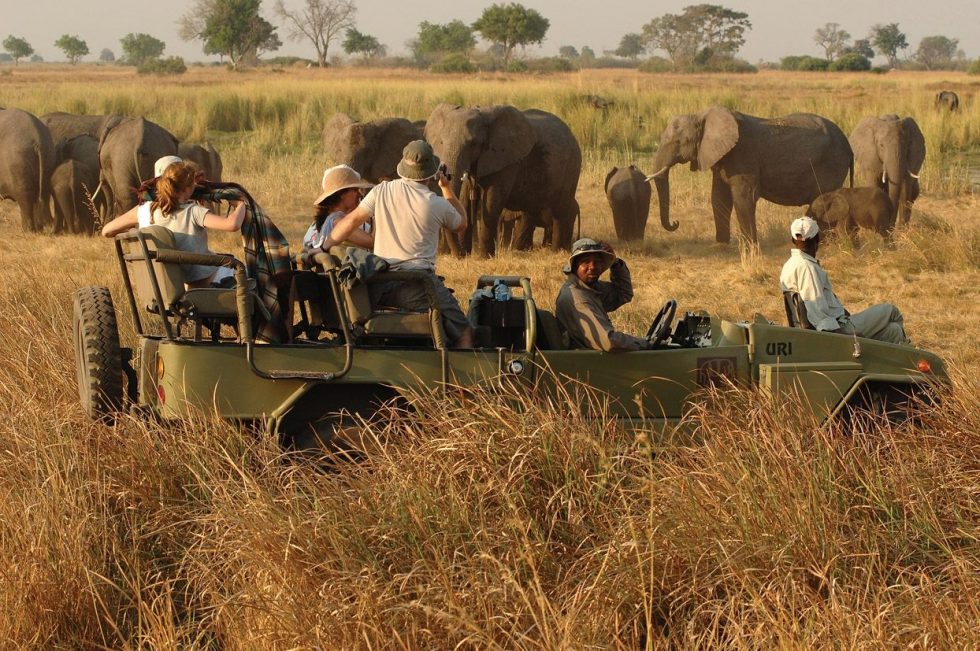 Getting to Kidepo Valley National Park