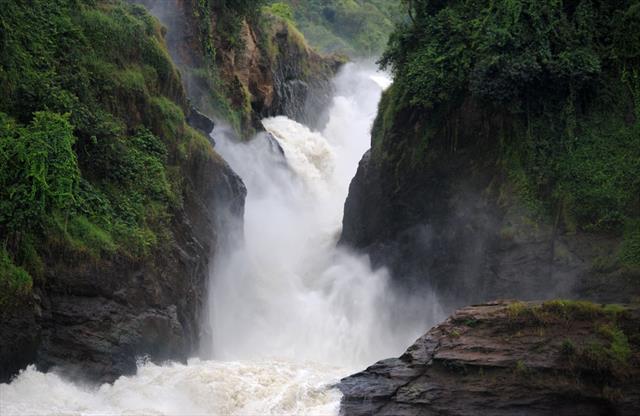 Best Guide to Travel in Uganda with Explore Rwanda Tours