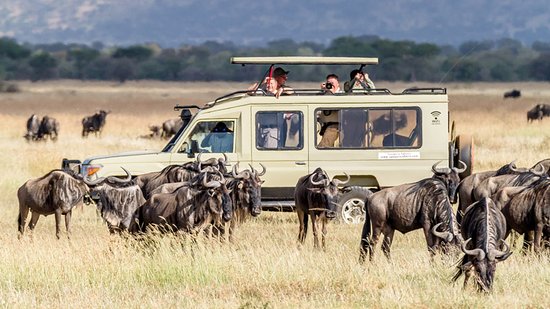Top 6 Wildlife Safaris in East Africa