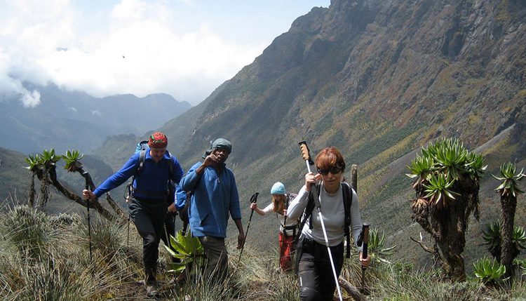 Discovering the Best Hiking Trails in Uganda