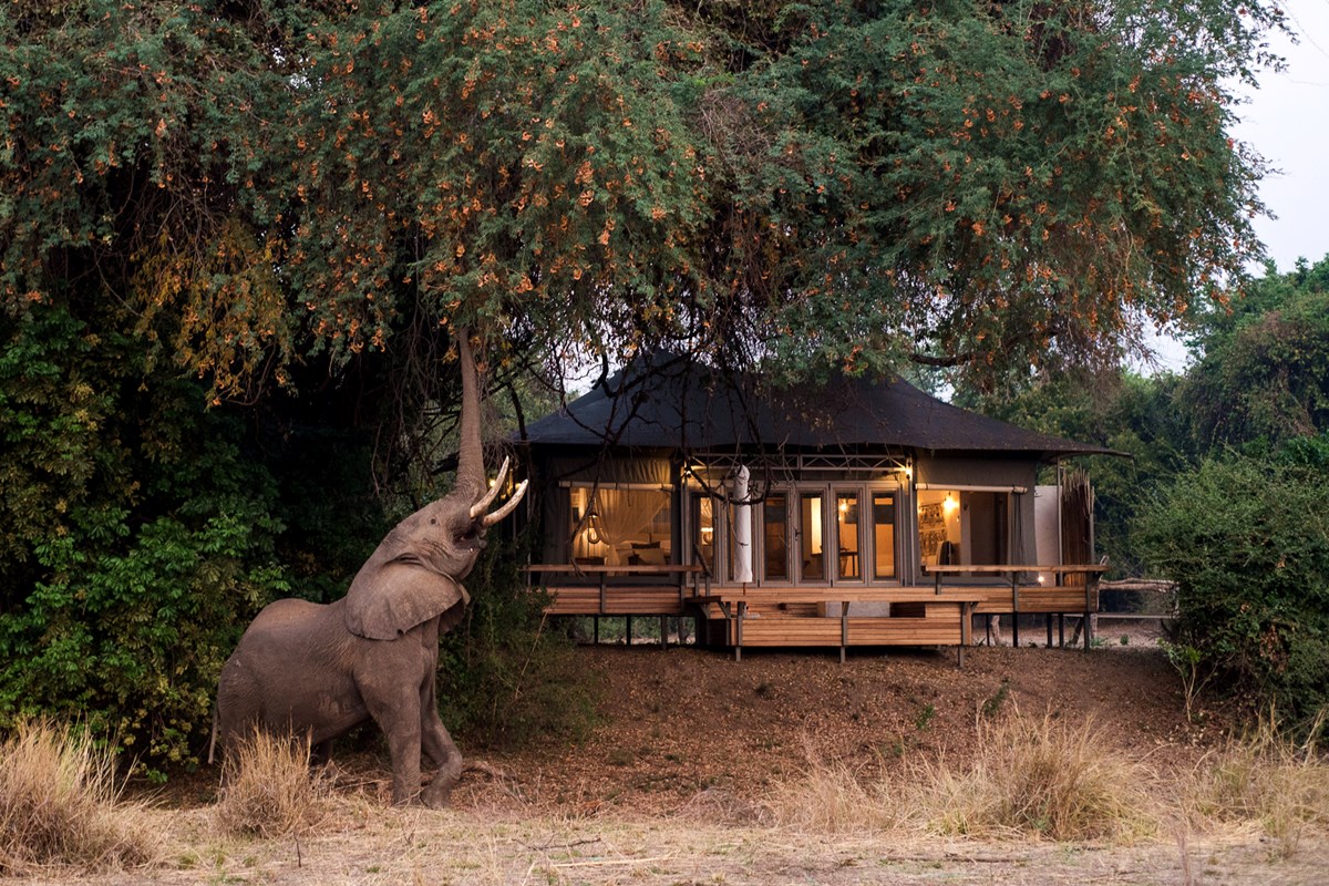 When is the best time for a safari in Africa?